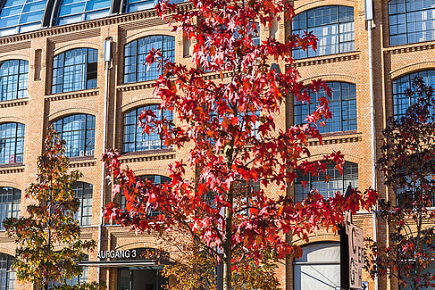 Campus Wilhelminenhof©HTW Berlin/Nina ZImmermann
